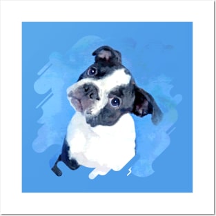 Cute Boston Terrier Puppy Posters and Art